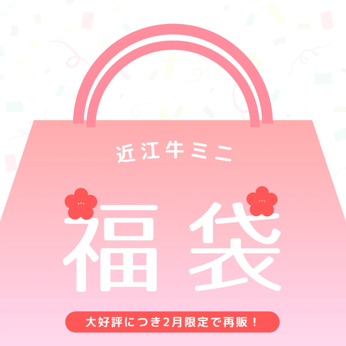 【大好評につき2月だけの特別再販】近江牛ミニ福袋【2025年3月中にお届け】