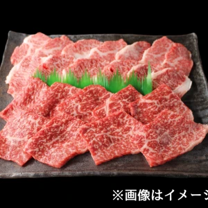 BBQセット⑩【4~5人前 総重量1545g】近江牛クラシタ塊肉795g+焼肉600g+ホルモンMIX150g