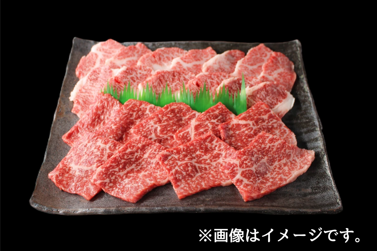 【近江牛BBQ焼肉Bセット(3~4人前)】カルビ300g+赤身300g+ホルモンMIX150g
