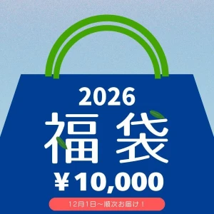【年末先取り福袋予約】近江牛ミステリー福袋【2025年12月中のお届け】