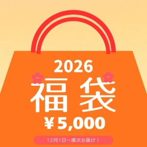 【年末先取り福袋予約】近江牛ミニ福袋【2025年12月中のお届け】