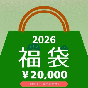 【年末先取り福袋予約】近江牛極上福袋【2025年12月中のお届け】