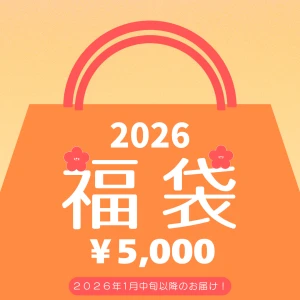 【年末先取り福袋予約】近江牛ミニ福袋【2026年1月中旬以降のお届け】